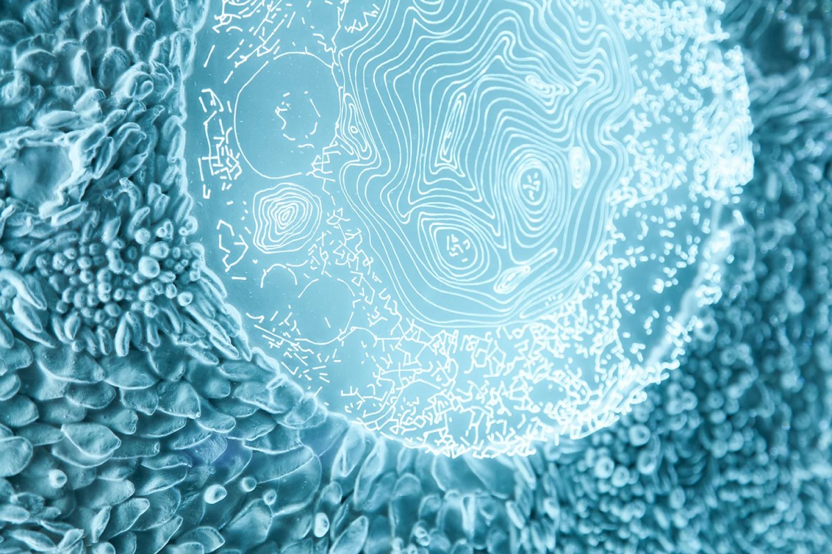 A clay work in neon blue with soft-looking petals and a circular centre that appears to radiate LED light.