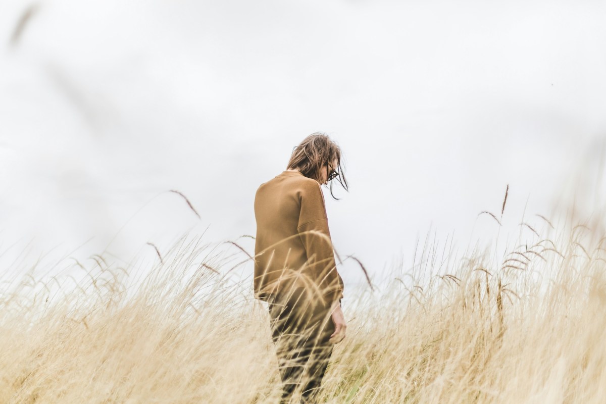 The Bendigo Writers Festival has had to cancel several of its sessions. Image: Matthew Henry on Unsplash.