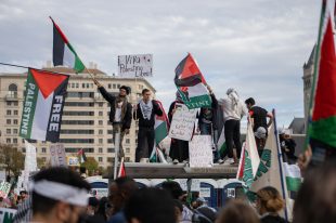 Palestinian protestors on top of a car.