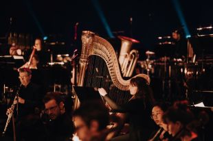 Adelaide Symphony Orchestra performs in the Adelaide Festival Centre's Festival Theatre. An atmospheric photo of Orchestra members on a darkened stage: a dark-haired, fair-skinned woman wearing glasses and playing a large, standing harp is the focal point of the image.