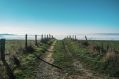 A country track leading over a hill towards a misty valley and parts unknown. The photo illustrates Artshub's weekly On the Move column, which summarises the week's arts sector appointments.