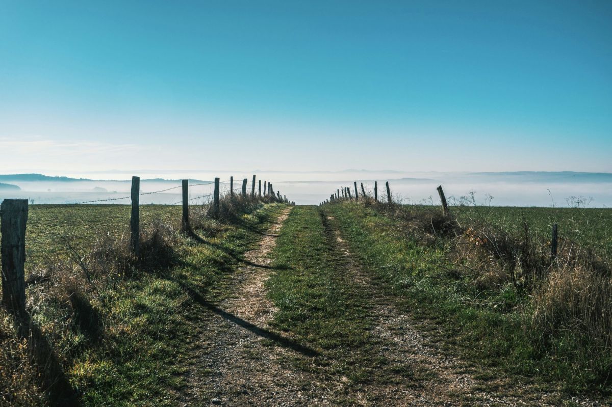 A country track leading over a hill towards a misty valley and parts unknown. The photo illustrates Artshub's weekly On the Move column, which summarises the week's arts sector appointments.