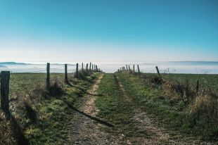 A country track leading over a hill towards a misty valley and parts unknown. The photo illustrates Artshub's weekly On the Move column, which summarises the week's arts sector appointments.