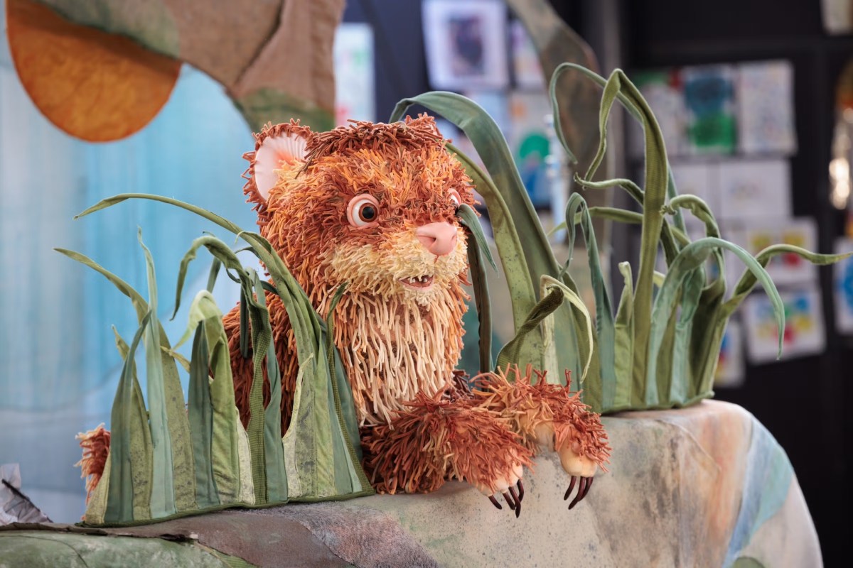 Feathers at Landsdowne Crescent Primary School, 2024. Image: Peter Mathew.