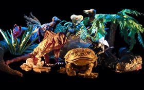 A selection of large animal puppets on a black stage, including cane toad, lizard, koala and birds.