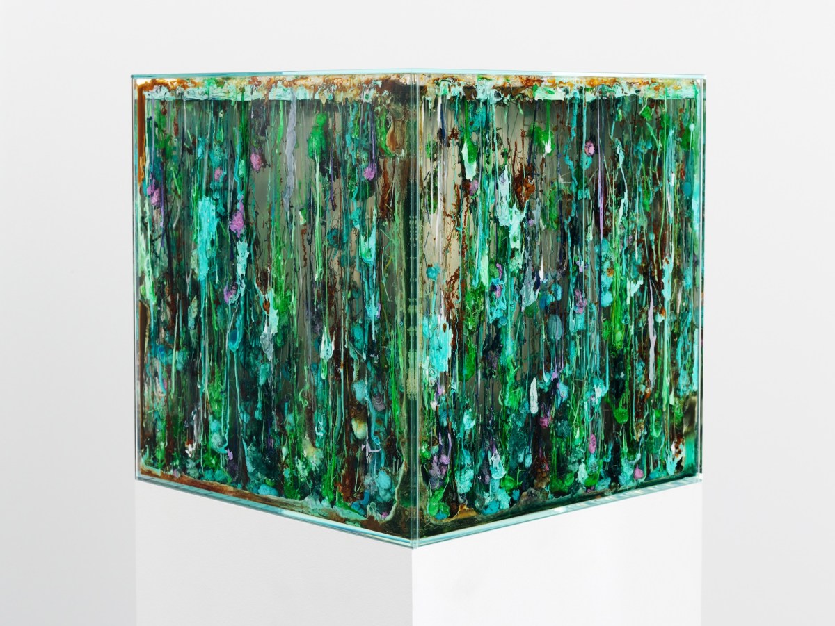 Box on a museum pedestal filled with abstract green stuff. Art and AI. MCA