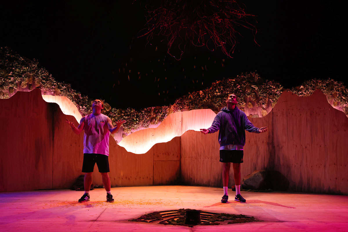 Whitefella Yella Tree. Photo: STC / Prudence Upton.