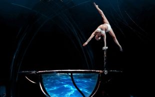 An acrobat balancing with one hand at the edge of a large goblet filled with water. Basic income Ireland.