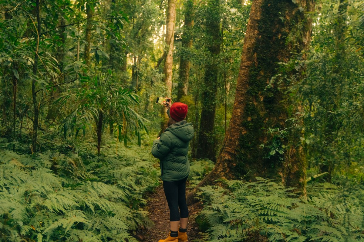 Image: Harvey Robinson on Unsplash.