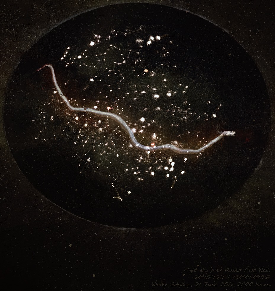 From Judith Nangala Crispin's The Dingo's Noctuary. Image: Supplied.