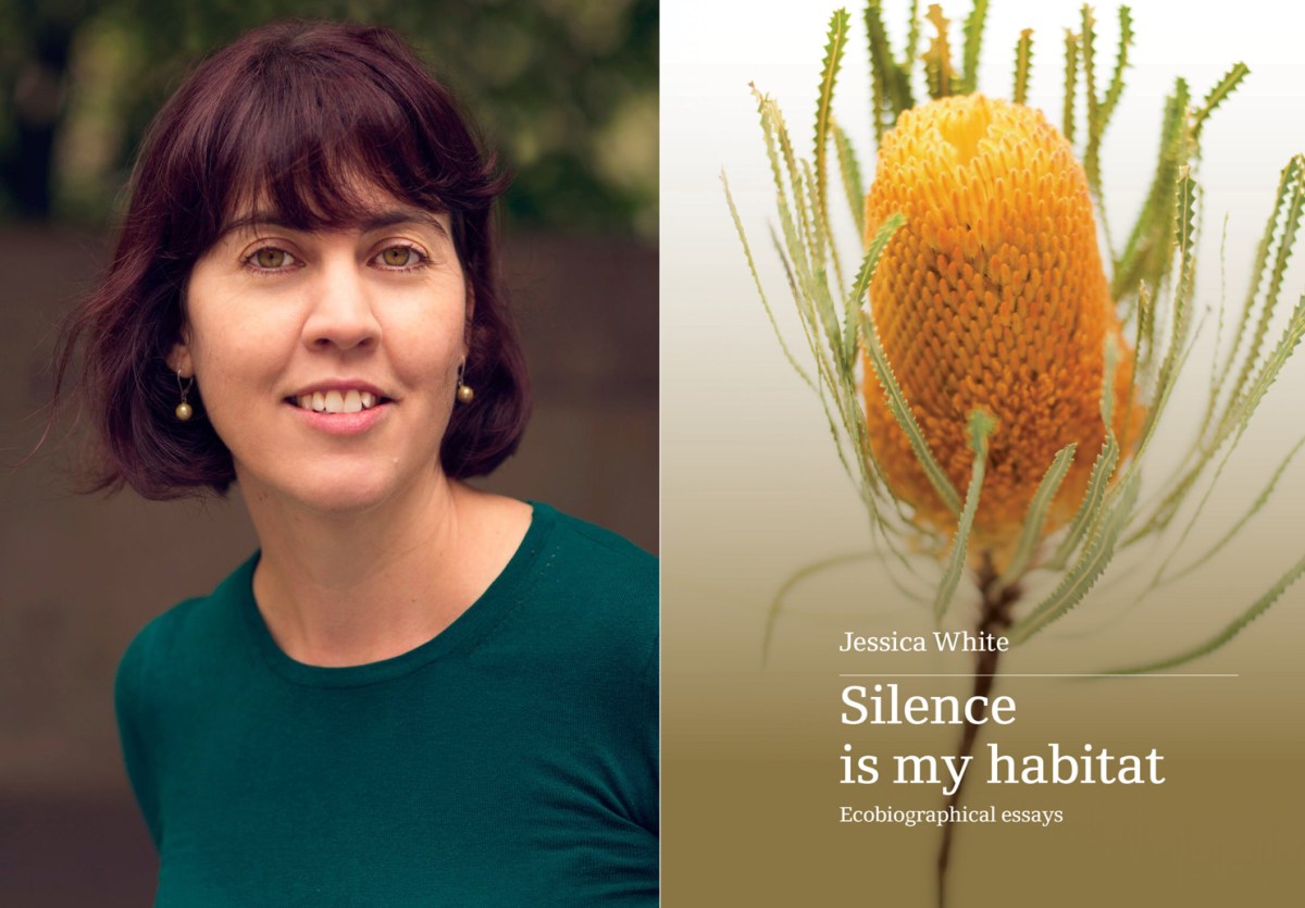 Jessica White's Silence is My Habitat. Photo: Jessica White / Upswell.