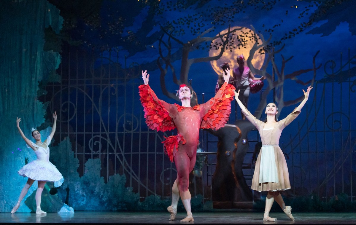 Jurgen Rahimi as Magical Bird, Hope, Polly Hilton as the Fairy Godmother Mayume Noguromi as Cinderella in Cinderella. Image: Matt Jelonek.
