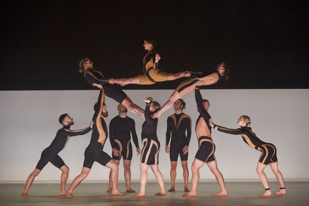 WOLF. Image: Andy Phillipson.