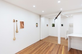 Shrimp Show. Installation view, Velvet Lobster. Photo: Supplied.