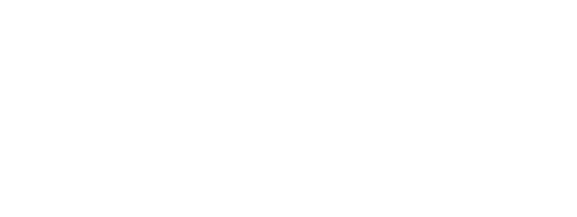 creative-journalism-fellowship