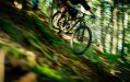 A mountain bike hurtles at speed down a steep, wooded slope. arts sector appointments