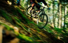 A mountain bike hurtles at speed down a steep, wooded slope. arts sector appointments
