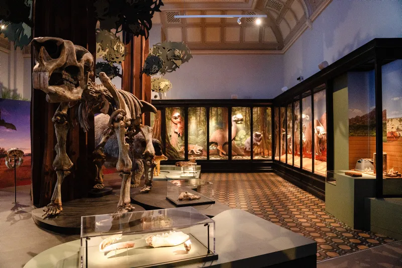 Australian Museum’s new Surviving Australia permanent gallery, installation view. Image supplied. 2026 museum blockbusters