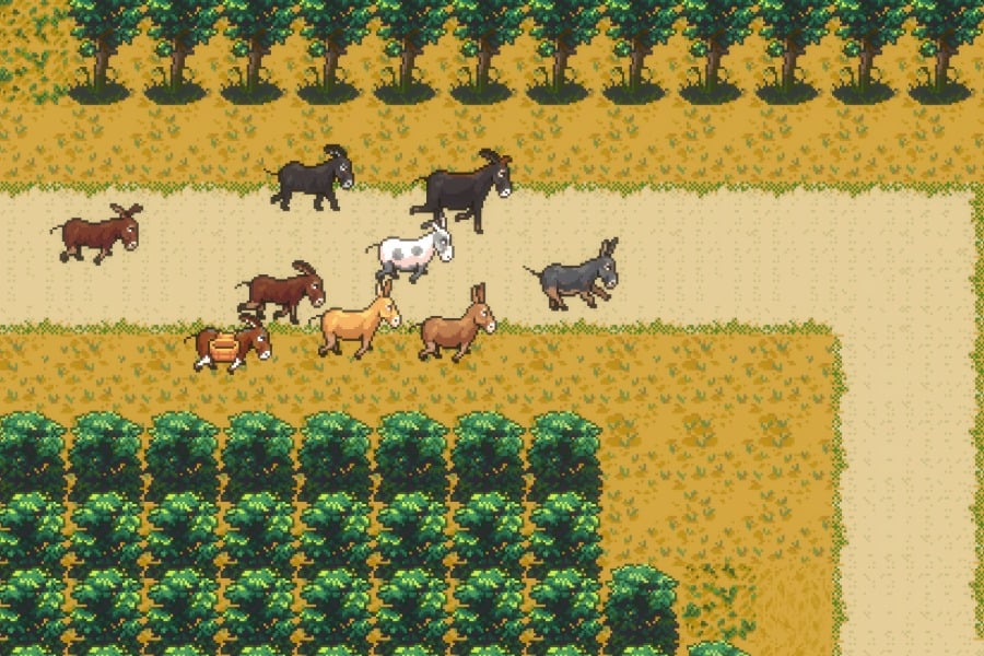 Asses.Masses. Photo: Sydney Festival.