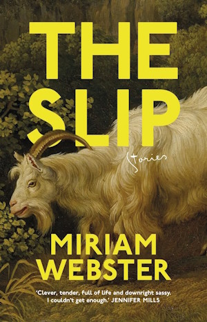 The cover of The Slip, the first book published by Miriam Webster.