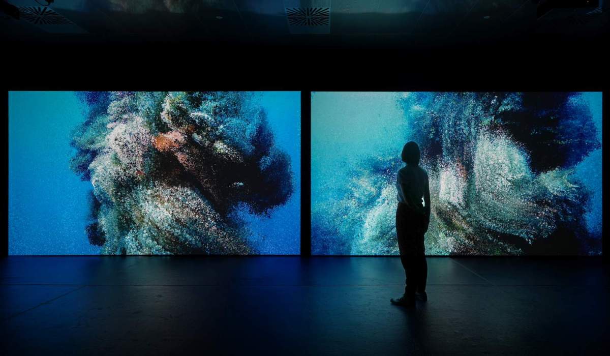 The multimedia installation Seeing Echoes in the Mind of the Whale, in Biomass at WA Museum Boorla Bardip. Image: Supplied. 2026 museum blockbusters