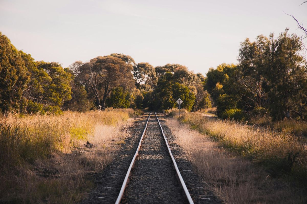Are the state's creative industries still on track, or running off the rails? A photograph of a train track between trees at Mannerim, Victoria, Australia.