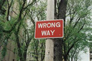 arts governance: photo of a red and white street sign that says "wrong way" against a background of trees in the street.