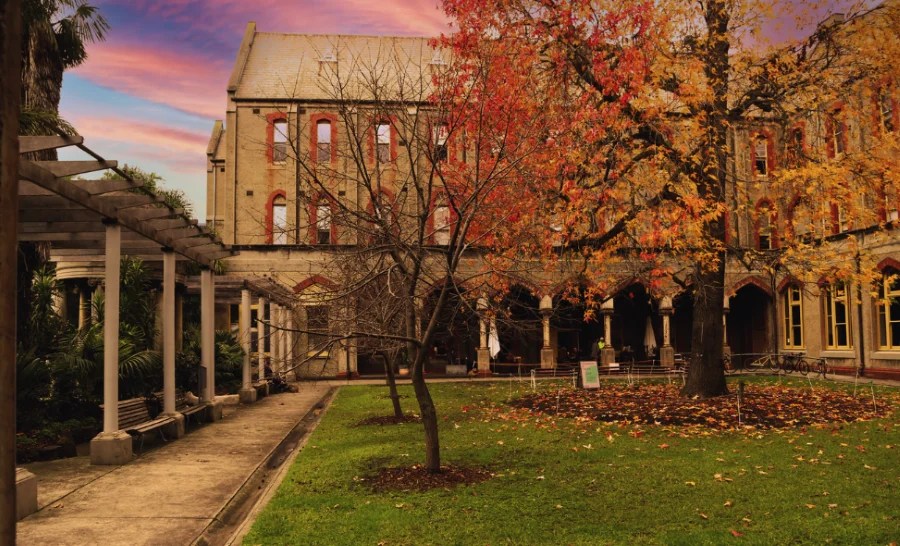 Abbotsford Convent in late autumn; the Convent's arched windows are partially obscured by bare branches and a tall tree whose leaves are bright orange and yellow, with further leaves visible on the square of green lawn. defunded arts organisations 