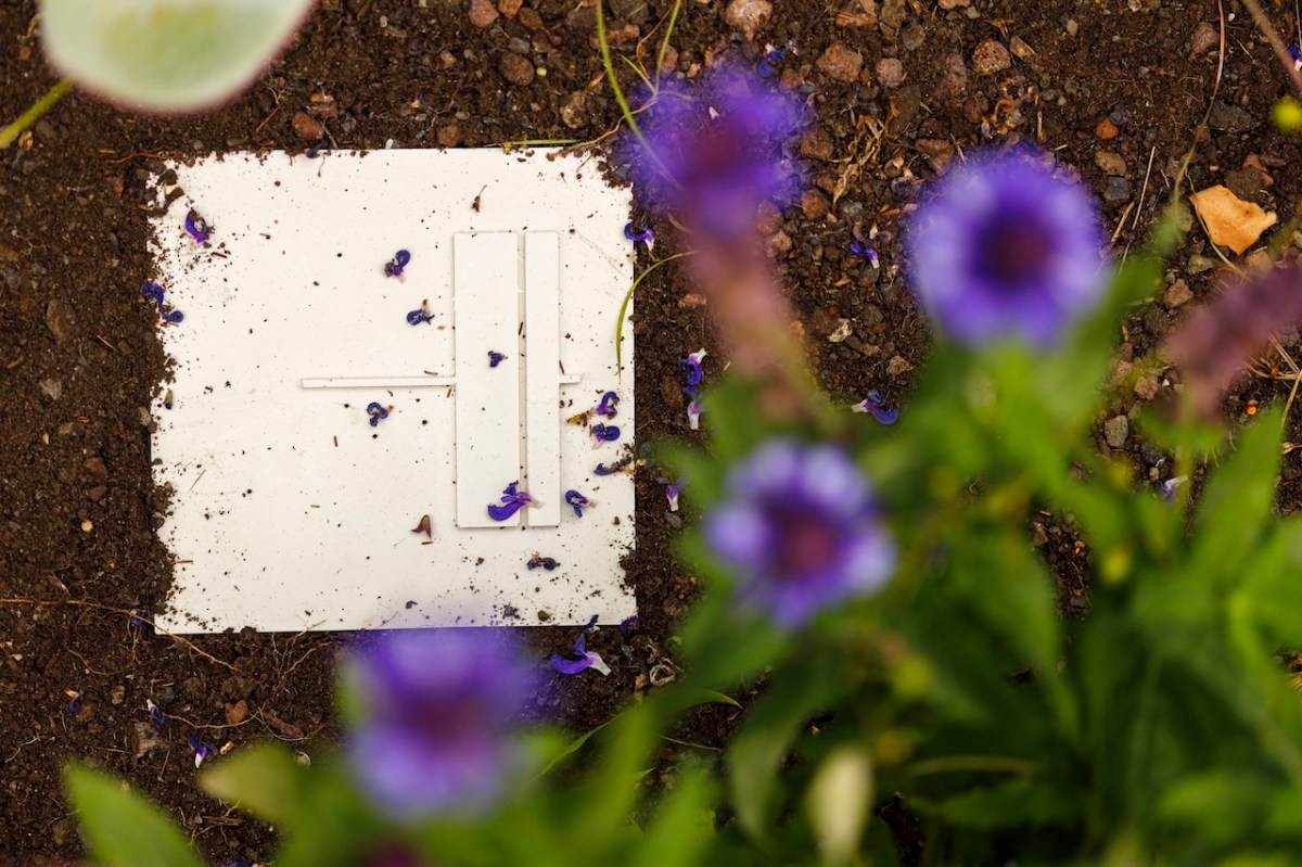 Installation image of Compressions, by Francis Carmody. Photo: James Henry.