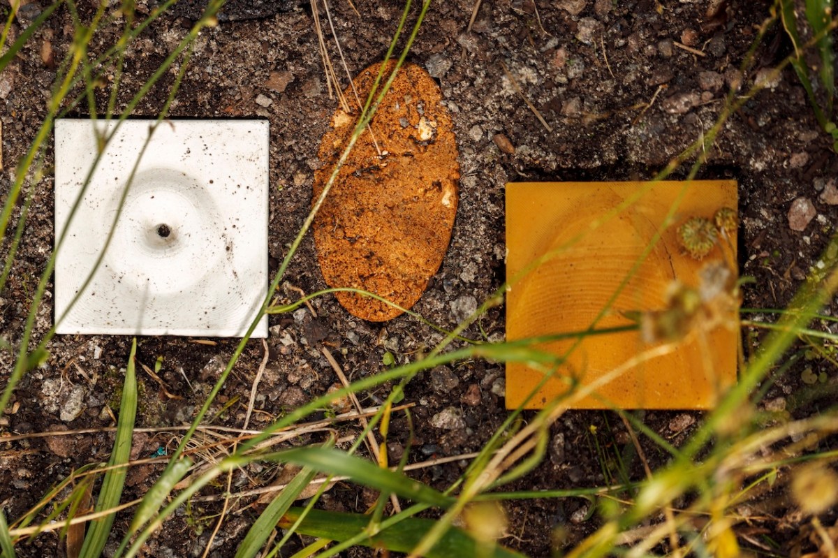 Installation image of Compressions, by Francis Carmody. Photo: James Henry.