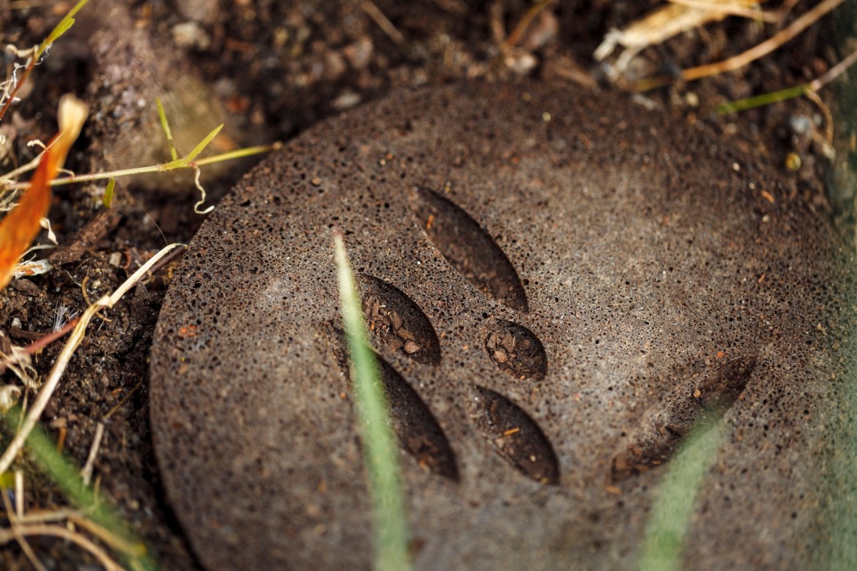 Installation image of Compressions, by Francis Carmody. Photo: James Henry.