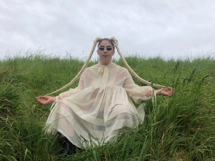 Theia/Te Kaahu. Image supplied.