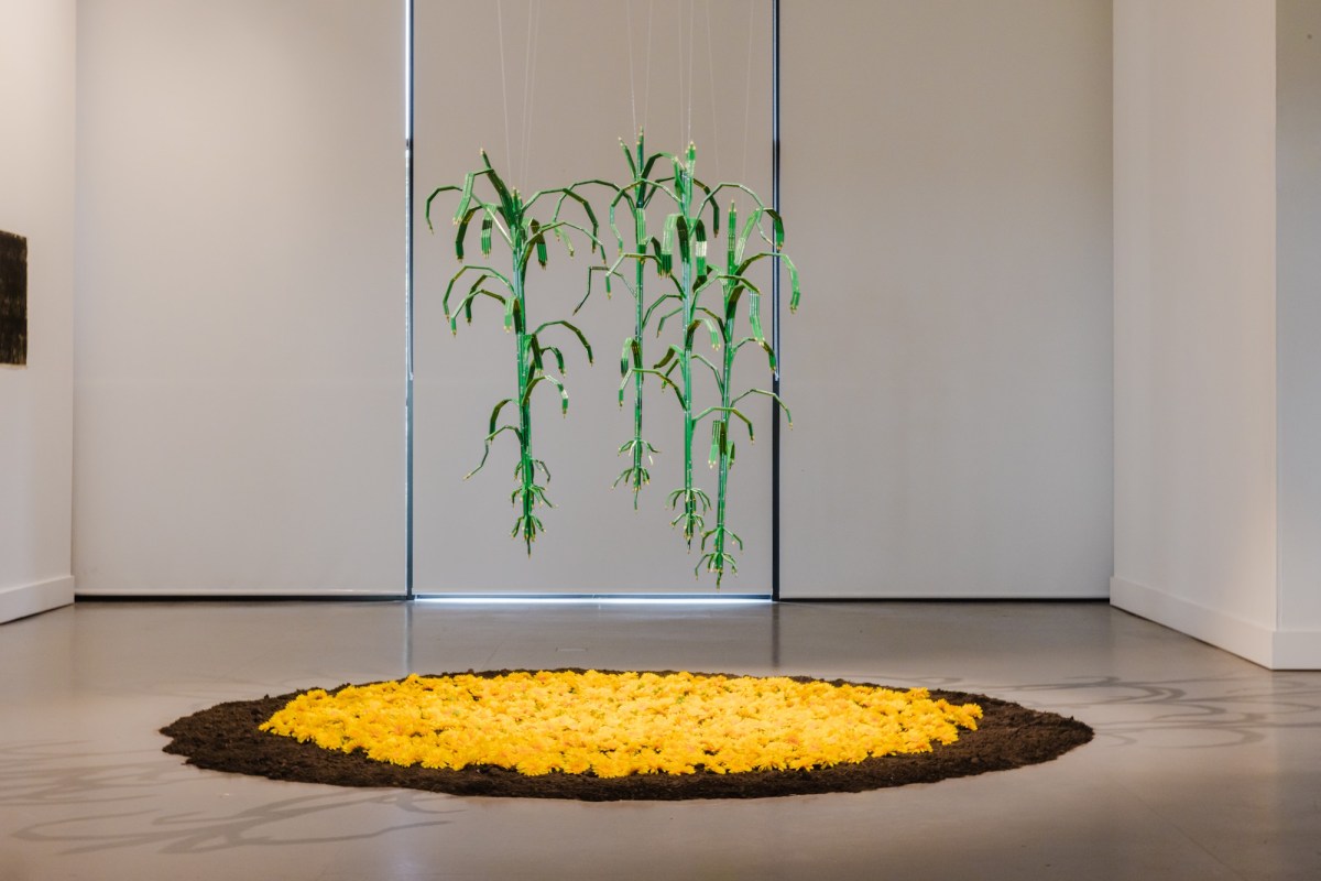 Fernando Poyón, Bringing joy to the earth, 2025. Pencils, concaste, bamboo. Installation view, Rememory: Biennale of Sydney, Penrith Regional Gallery. Commissioned by the Biennale of Sydney and Fondation Cartier pour l’art contemporain. Photo: Maja Baska. Courtesy: the artist.