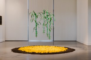 Fernando Poyón, Bringing joy to the earth, 2025. Pencils, concaste, bamboo. Installation view, Rememory: Biennale of Sydney, Penrith Regional Gallery. Commissioned by the Biennale of Sydney and Fondation Cartier pour l’art contemporain. Photo: Maja Baska. Courtesy: the artist.
