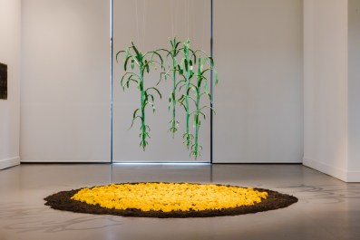 Fernando Poyón, Bringing joy to the earth, 2025. Pencils, concaste, bamboo. Installation view, Rememory: Biennale of Sydney, Penrith Regional Gallery. Commissioned by the Biennale of Sydney and Fondation Cartier pour l’art contemporain. Photo: Maja Baska. Courtesy: the artist.