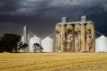 Brim silo VIC, 2016 by Guido van Helten: a photo of a large painted farm grain silo against a grey cloud stormy sky with golden grass in the forground. The painted mural depicts four men of varying ages in a realistic, figurative style.