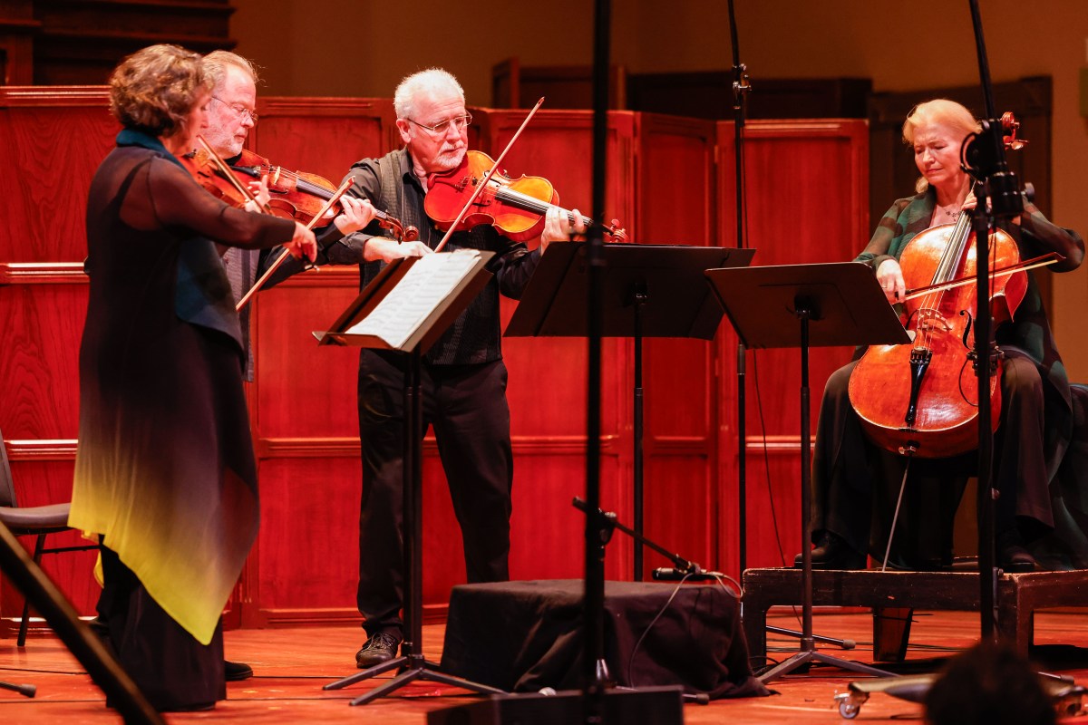 Brodsky String Quartet. Photo: Russell Millard.