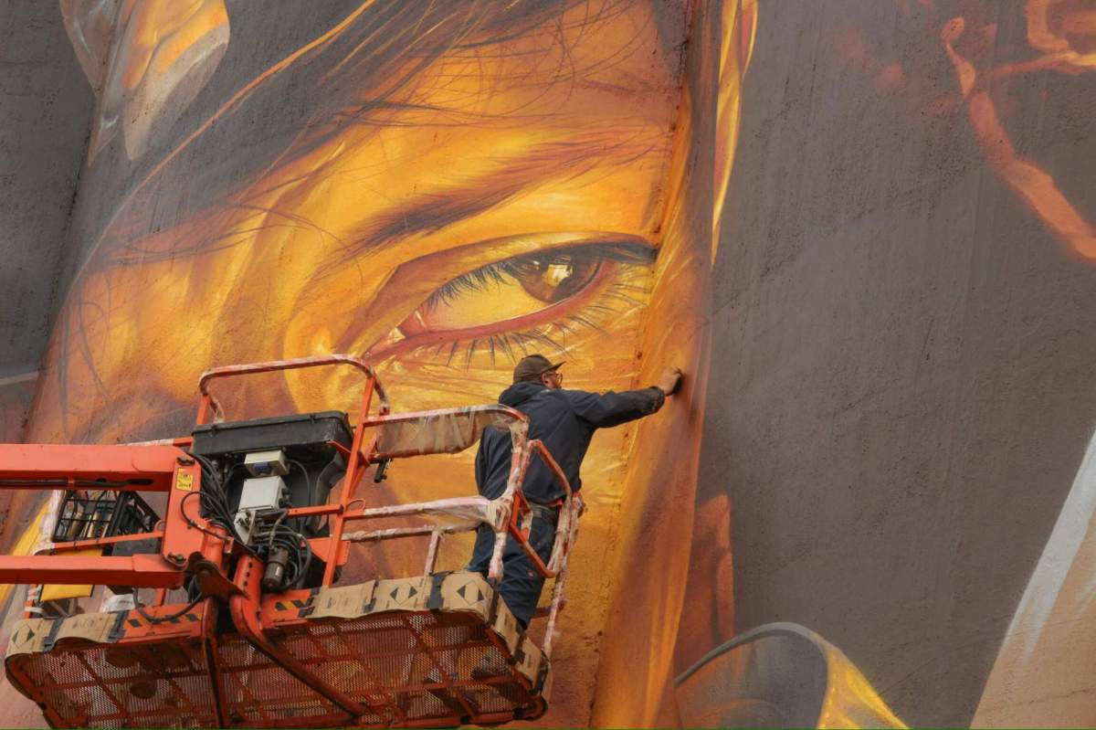 Sam Bates (Smug) working on the Kapunda silo, South Australia, 2025. Project curated by Juddy Roller. Photo: Supplied. silo art