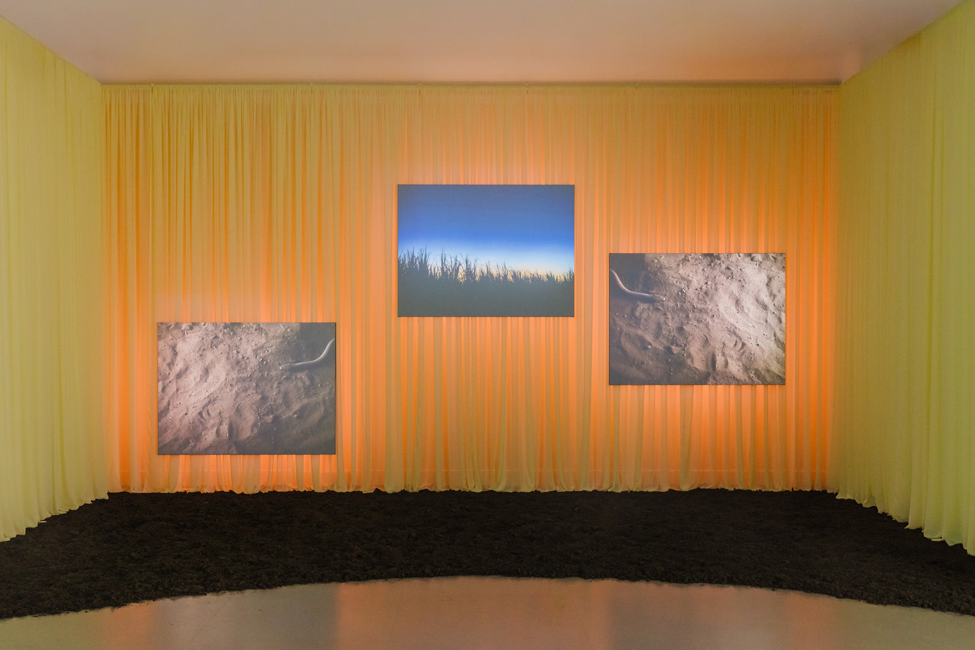 Biennale of Sydney review: Western Sydney shines in this international ...