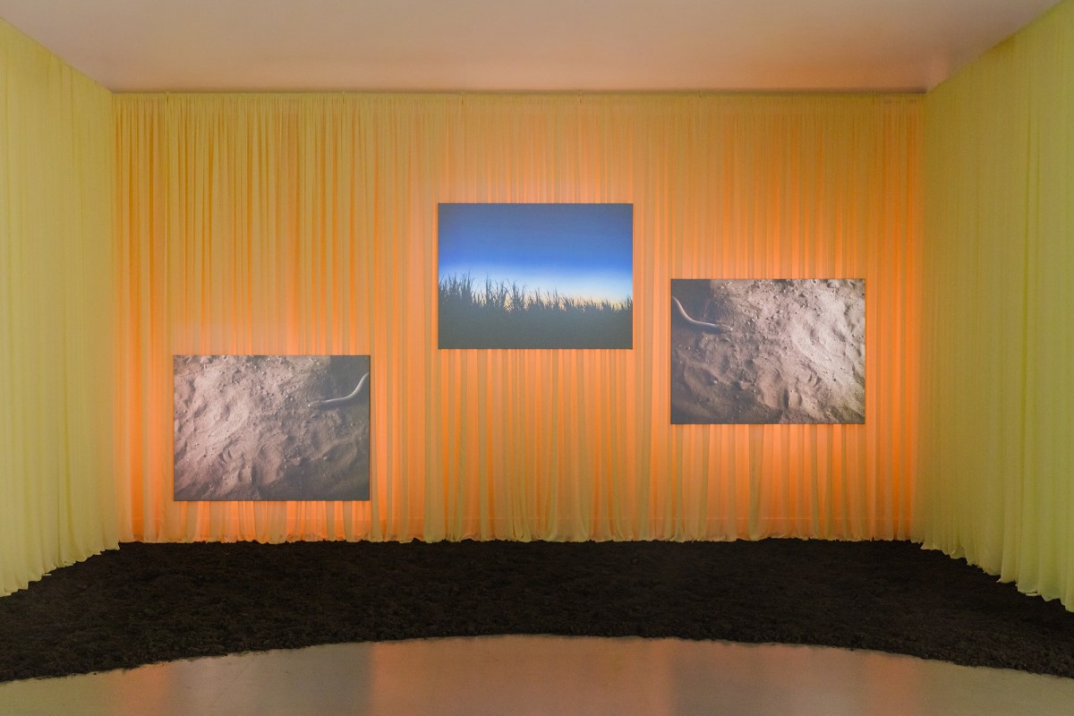 Monica Rani Rudhar, The fire in me was lit long ago, 2026. Three-channel video installation, looped 8 mins. Installation view, Rememory: Biennale of Sydney, Penrith Regional Gallery. Photo: Maja Baska. Courtesy: the artist and Ames Yavuz.