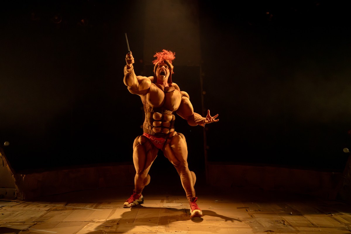 Year of the Rooster. Photo: Cameron Grant.