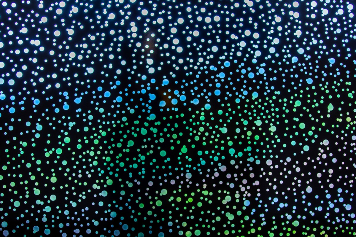 Daniel Boyd, Untitled, 2014. Computer cut Metamark low sheen vinyl, 500 x 279cm. TarraWarra Museum of Art Collection. Installation view, TarraWarra International 2026: System Release, TarraWarra Museum of Art. Photo: Craate Creative.