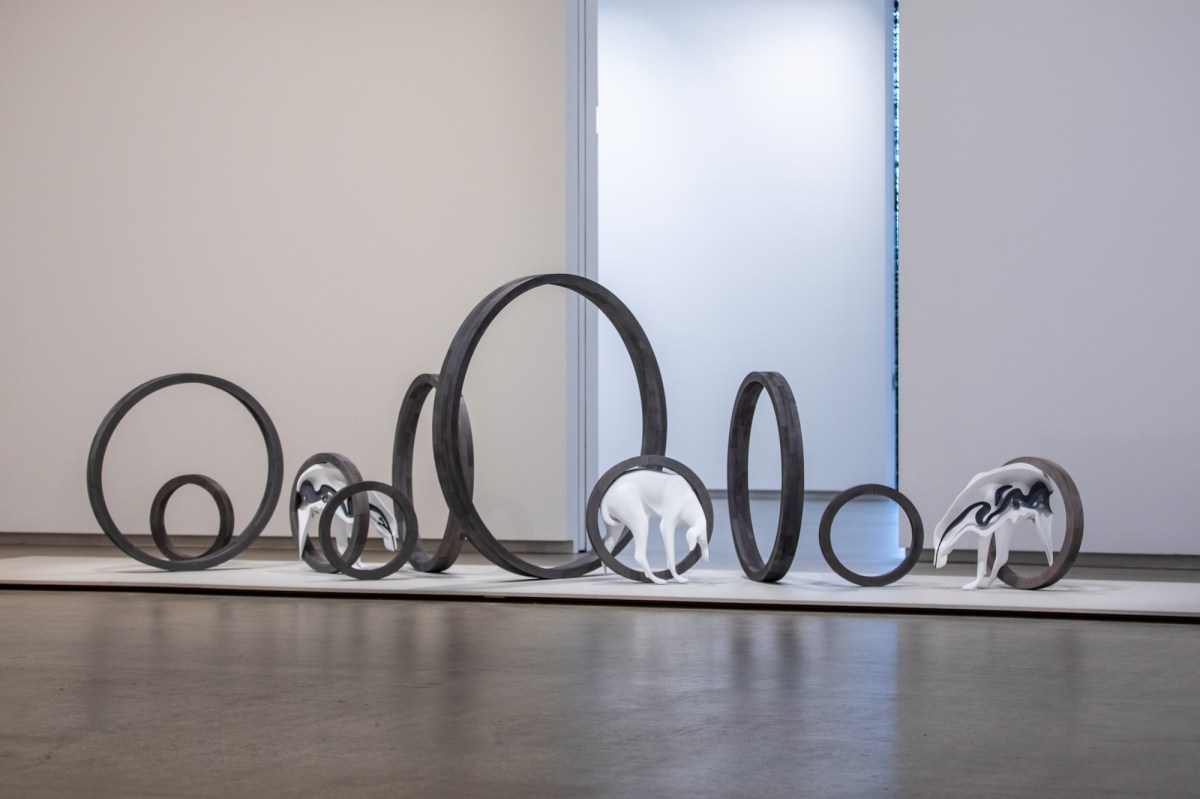 Francis Carmody, Canine Trap III, 2026. Graphite, acrylic paint, polyurethane, resin, felt, steel, wood. Installation view, TarraWarra International 2026: System Release, TarraWarra Museum of Art. Photo: Craate Creative.