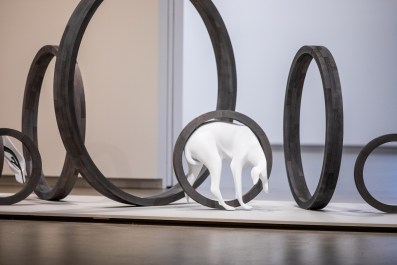 Francis Carmody, Canine Trap III, 2026. Graphite, acrylic paint, polyurethane, resin, felt, steel, wood. Installation view, TarraWarra International 2026: System Release, TarraWarra Museum of Art. Photo: Craate Creative.