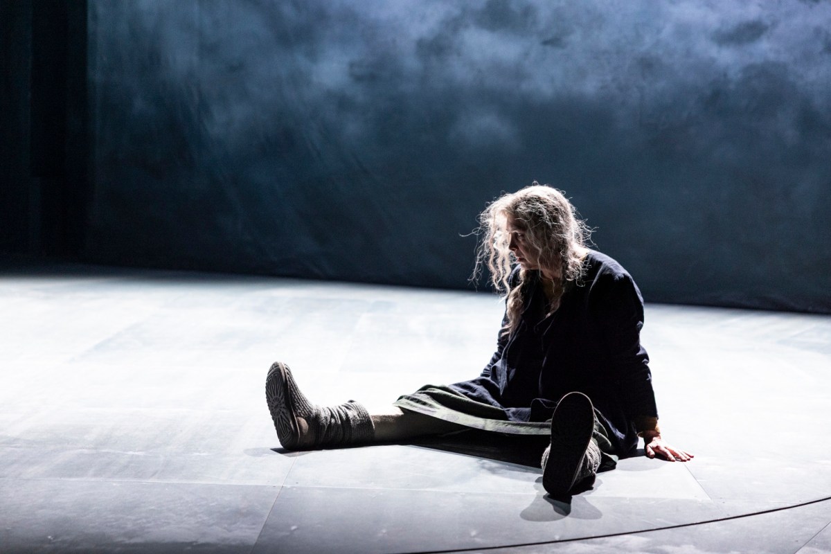 Belvoir St Theatre's Drive Your Plow Over the Bones of the Dead. Photo: Brett Boardman.