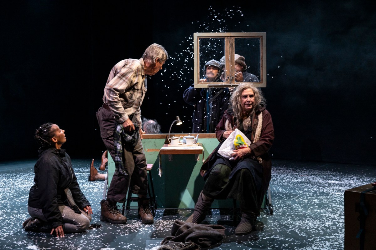 Belvoir St Theatre's Drive Your Plow Over the Bones of the Dead. Photo: Brett Boardman.