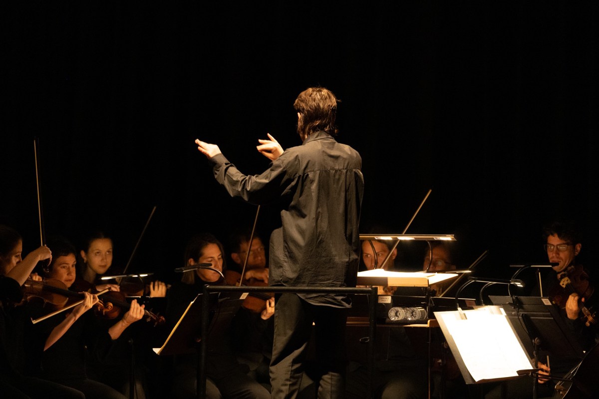 Adelaide Symphony Orchestra's Nordic Lights performance. Photo: Supplied. Sanctuary Series