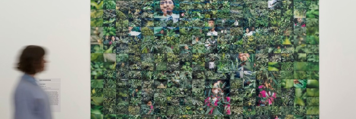 Installation view, New Asian Art, National Gallery of Australia, Kamberri/Canberra, 2025 featuring: Yang Fudong, Forest diary, 2000, National Gallery of Australia, Kamberri/Canberra, donated through the Australian Government’s Cultural Gifts Program by Dr Dick Quan.