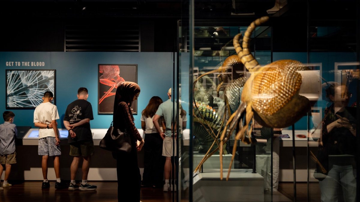 Installation view, Bloodsuckers: Nature's Vampires, Australian Museum, Sydney. Image: Mel Koutchavlis.