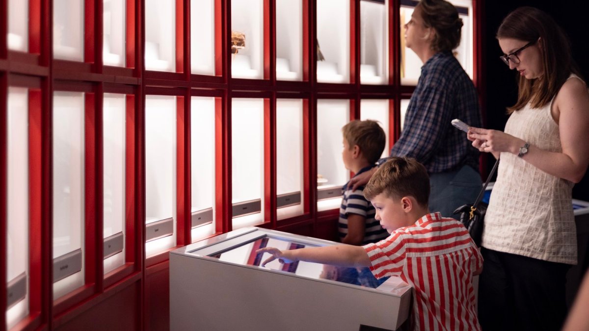 Installation view, Bloodsuckers: Nature's Vampires, Australian Museum, Sydney. Image: Mel Koutchavlis.